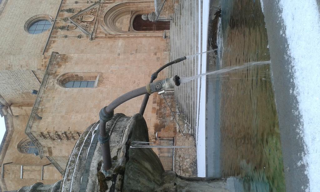 Hotel Las Casas De Pandreula Berlanga de Duero Exteriör bild